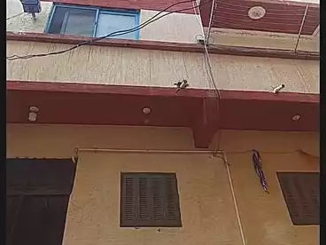 Building For sale - 3 rooms
