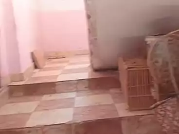 Building For sale in El Haram, Greater Cairo, 150 sqm