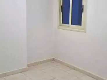 عقارات للإيجار - بالدور 1