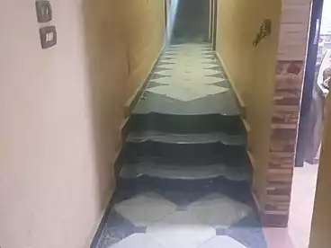 Apartments For rent - 2 rooms - floor 7