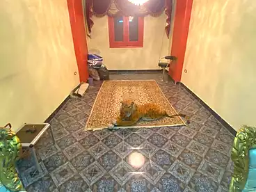 Apartments For sale - 2 rooms - floor 4