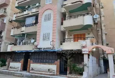 شقق للبيع - 2 غرف - بالدور 1