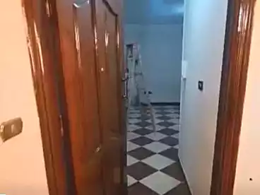 شقق للإيجار في الزيتون الشرقية، الزيتون، 160 متر