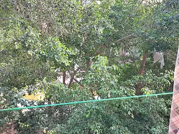 شقق للبيع في أبو يوسف، العجمي، 120 متر