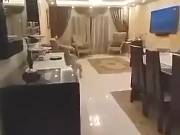 Apartments For sale - 3 rooms - floor 11