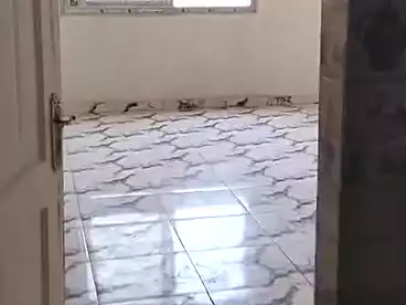 Properties For sale - 3 rooms - floor 6