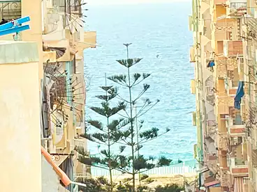 Apartments For sale in Shatee El Nakheel, Al Agamy, 110 sqm