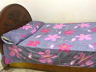 Shared Room For rent in Ard El Lewa, El Agouza, 60 sqm