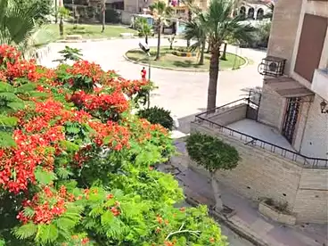 Chalets For sale in Shatee El Nakheel, Al Agamy, 55 sqm