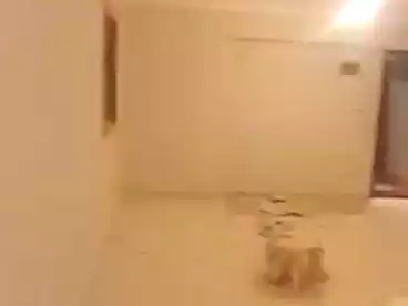 Apartments For sale in Hamamat El Koba, Hadayek El Koba, 170 sqm
