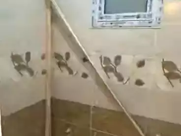 Apartments For sale in Nozha 2, Greater Cairo, 150 sqm