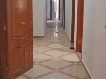 Apartment with Garden For rent in Alaa Elsaadany St., Gharb El Golf, 260 sqm