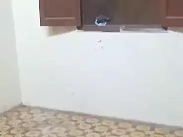 شقق للإيجار في حدائق القبة، القاهرة الكبرى، 90 متر