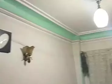 Apartments For sale in Abd El-Hameed El-Deeb St., El Sahel, 90 sqm