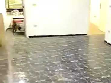 شقق للبيع في شارع حسن محمد، فيصل، 100 متر