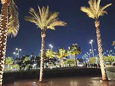 فلل للإيجار في فيستيفال ليفينج - كمبوند كايرو فيستيفال سيتي، كمبوند كايرو فيستيفال سيتي - الفطيم، 420 متر