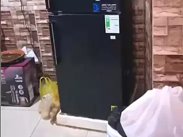 شقق للبيع في شارع 27، النزهة 2، 150 متر