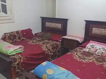 Furnished Apartment For rent in El Bitash, Al Agamy, 110 sqm