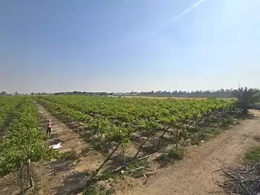 أراضي للبيع في 15 مايو، القاهرة الكبرى، 50400 متر