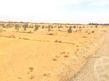 عقارات للبيع في الثورة الخضراء، الشيخ زايد، 7000 متر