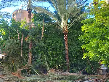 Villas For sale in Abu Yusuf, Al Agamy, 200 sqm