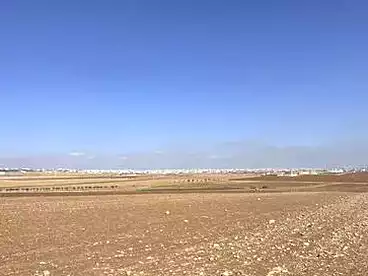 Properties For sale in El nadi St., Tanta City, 21000 sqm
