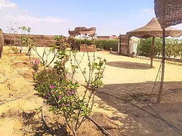 Properties For sale in Al Zeraieen St., Asyut City, 2100 sqm