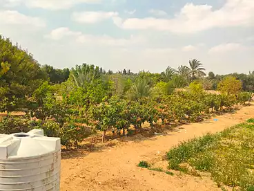 Land For sale in Line 4 North, Gamaiet Orabi, 8400 sqm