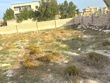 Residential Land For sale in Abu Talat, Alexandria, 502 sqm