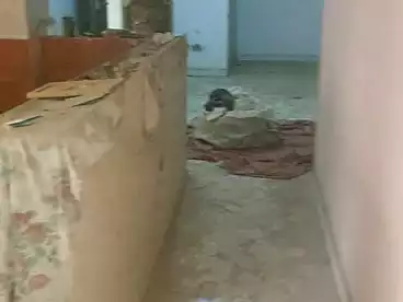 شقق للبيع في المريوطية، فيصل، 120 متر