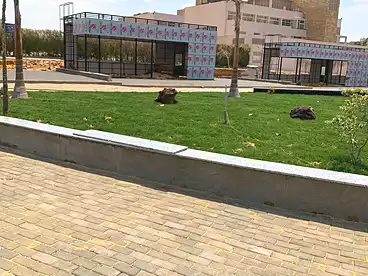 Commercial For rent in El Banafsag Villas, El Banafsag, 320 sqm