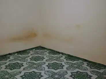 Apartments For rent in Sidi Beshr Bahri, Sidi Bishr, 75 sqm