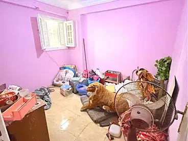 شقق للبيع في شارع مسجد السلام، سيدي بشر بحري، 125 متر