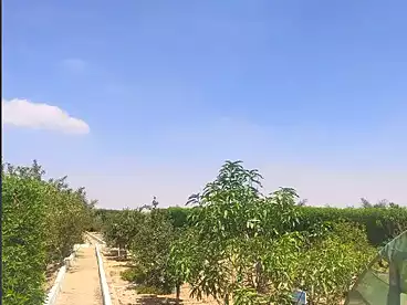 أرض زراعية للبيع في طريق أسيوط، الفيوم، 2400 متر
