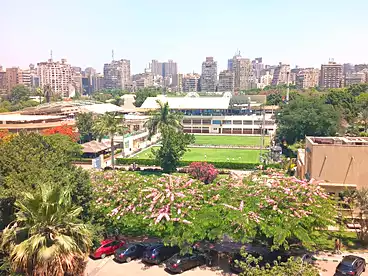 عقارات للإيجار في شارع محيي الدين ابو العز، الدقي، 220 متر