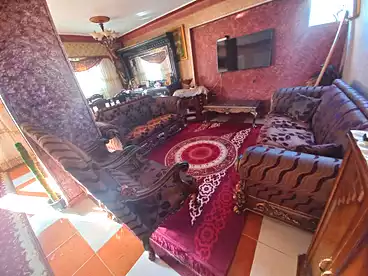 عقارات للإيجار في محرم بك، الاسكندرية، 100 متر
