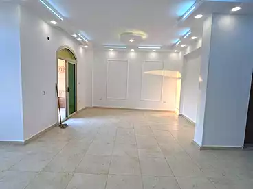 عقارات للإيجار في شارع الشيخ مصطفي اسماعيل، جنوب الاكاديميه (و)، 220 متر