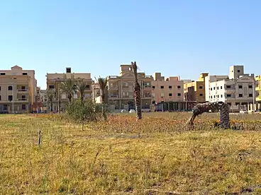 Properties For sale in El Kornfol 1, El Kornfol, 316 sqm
