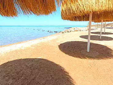 شقق للبيع في الاحياء، البحر الأحمر، 115 متر