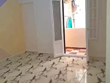 شقق للبيع في الكيلو 21، العجمي، 75 متر