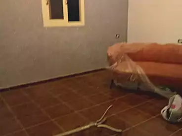 شقق للإيجار في أبو يوسف، العجمي، 90 متر