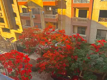 Apartments For rent in Other Neighborhoods In 6th Of October, 6th of October, 150 sqm