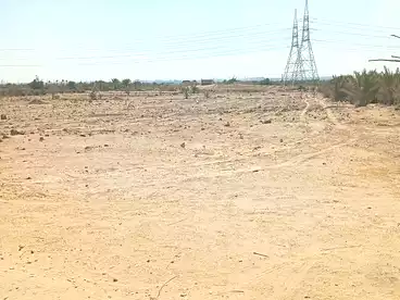 For sale in El Wasta City, El Wasta, 21000 sqm
