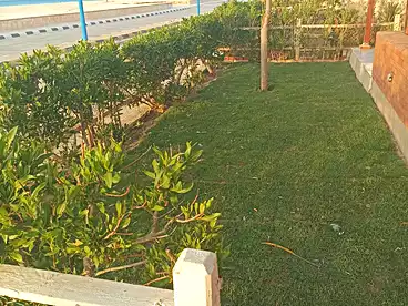 فلل للبيع في منتجع المنتزة، منتجعات الساحل الشمالى، 350 متر