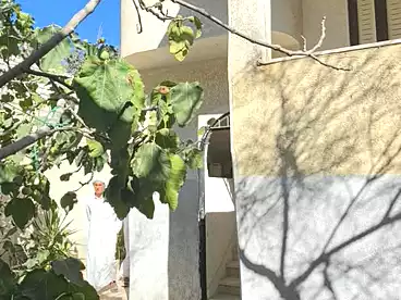 House / Home For sale in Abu Talat, Alexandria, 204 sqm