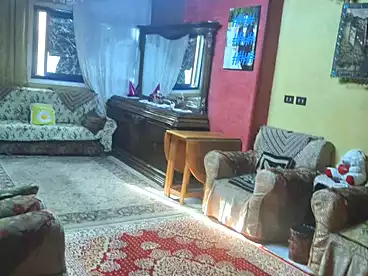 شقق للبيع في حلمية الزيتون، الزيتون، 140 متر