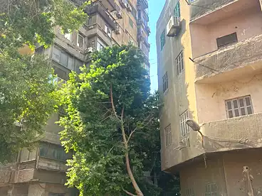 Building For sale in El Rawda St., Manial, 357 sqm