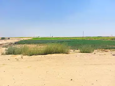 Farm For sale in Medom, El Wasta, 12600 sqm