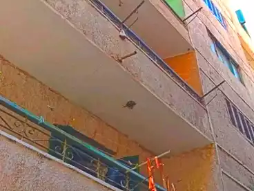 Properties For sale in Hamad Yassin St., El Tawabek, 165 sqm