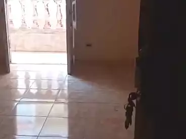 Apartments For rent in El Max, Alexandria, 85 sqm